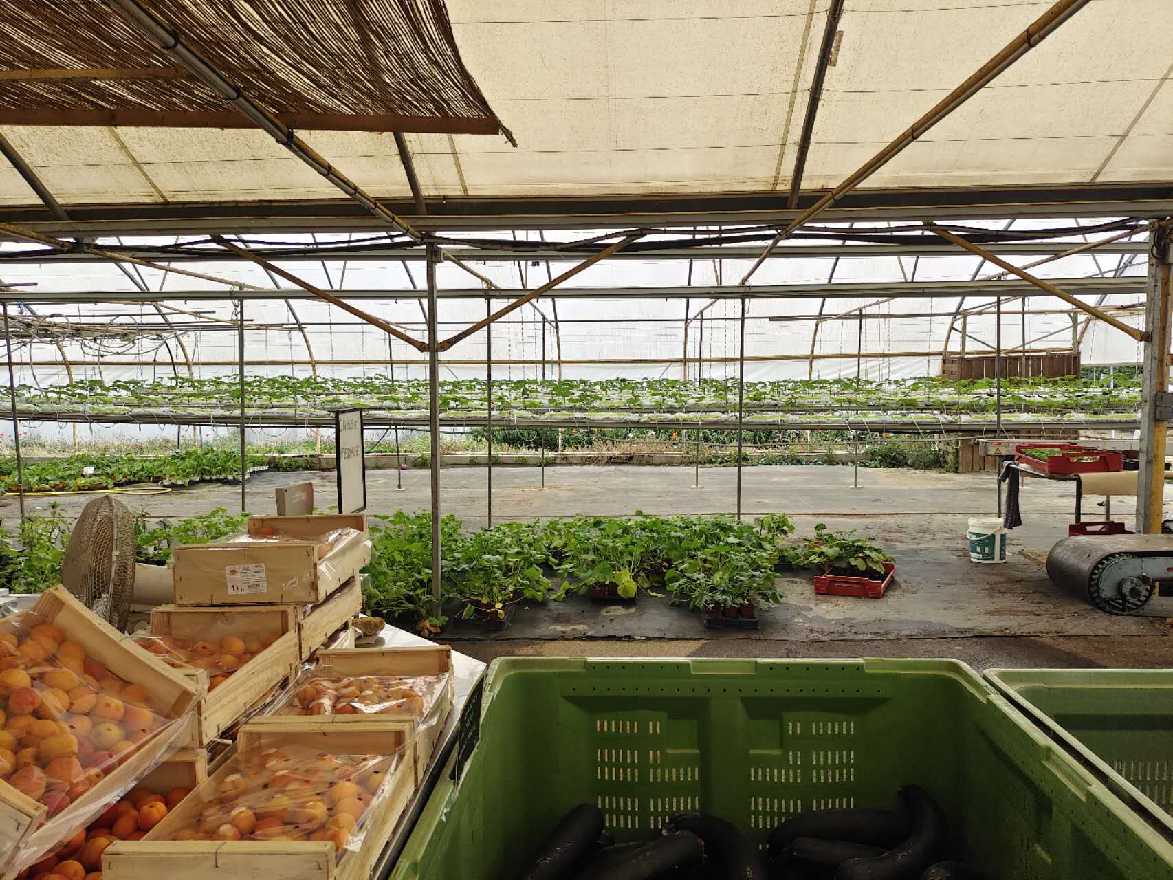 Marché à la ferme